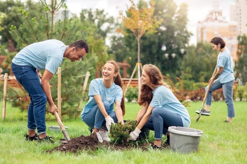 donor stewardship: man and two women planting 
