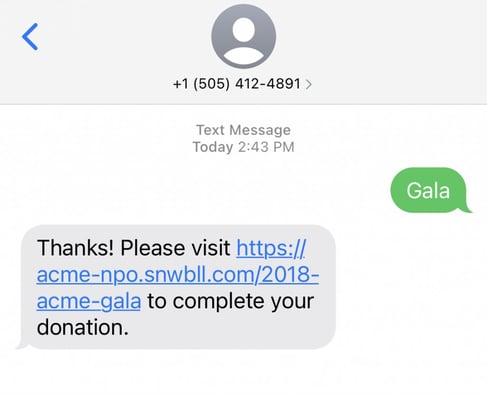 text to give: screenshot of a text to donate campaign
